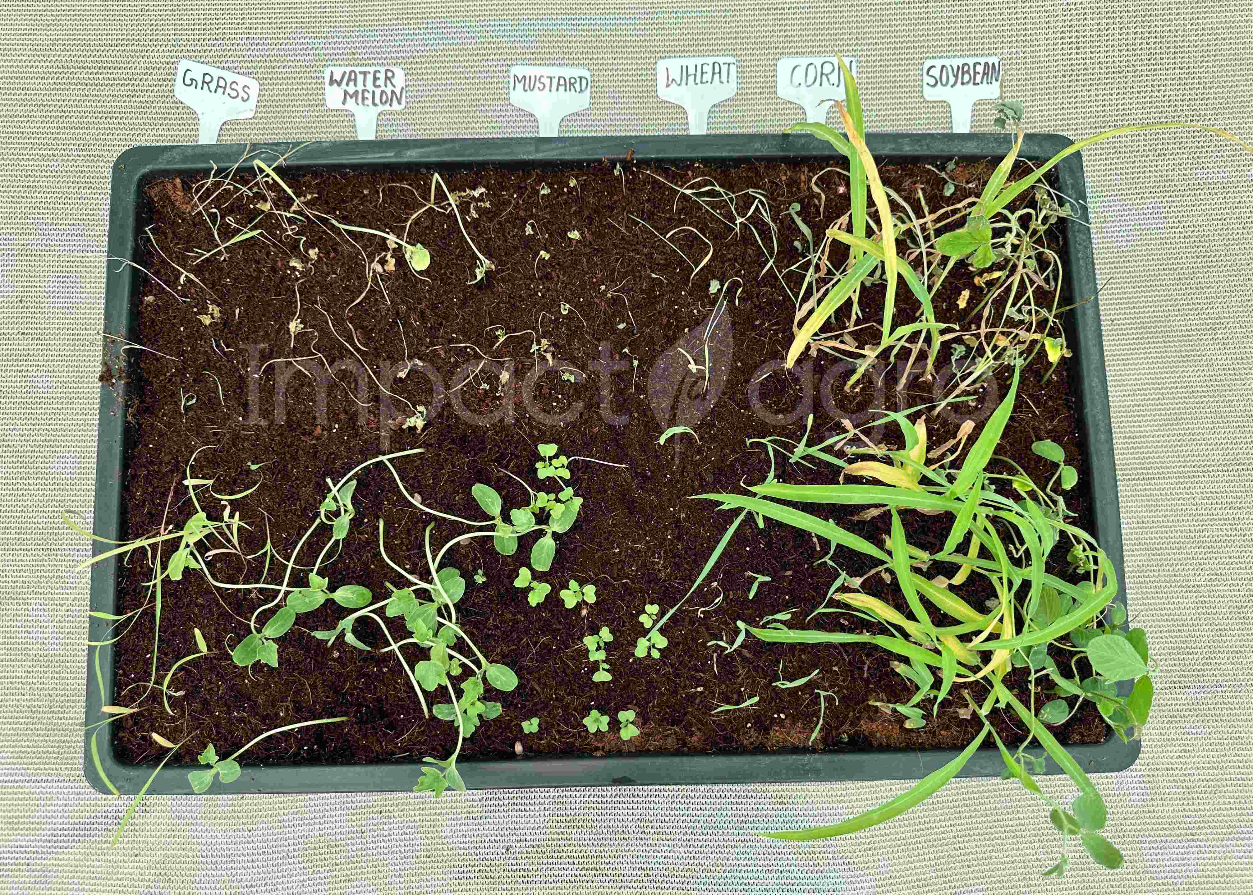 Impactagro Agricultural Products